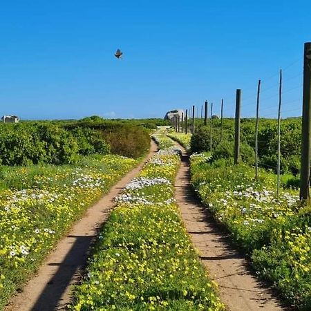 Seagulls Guest House Langebaan Exterior foto