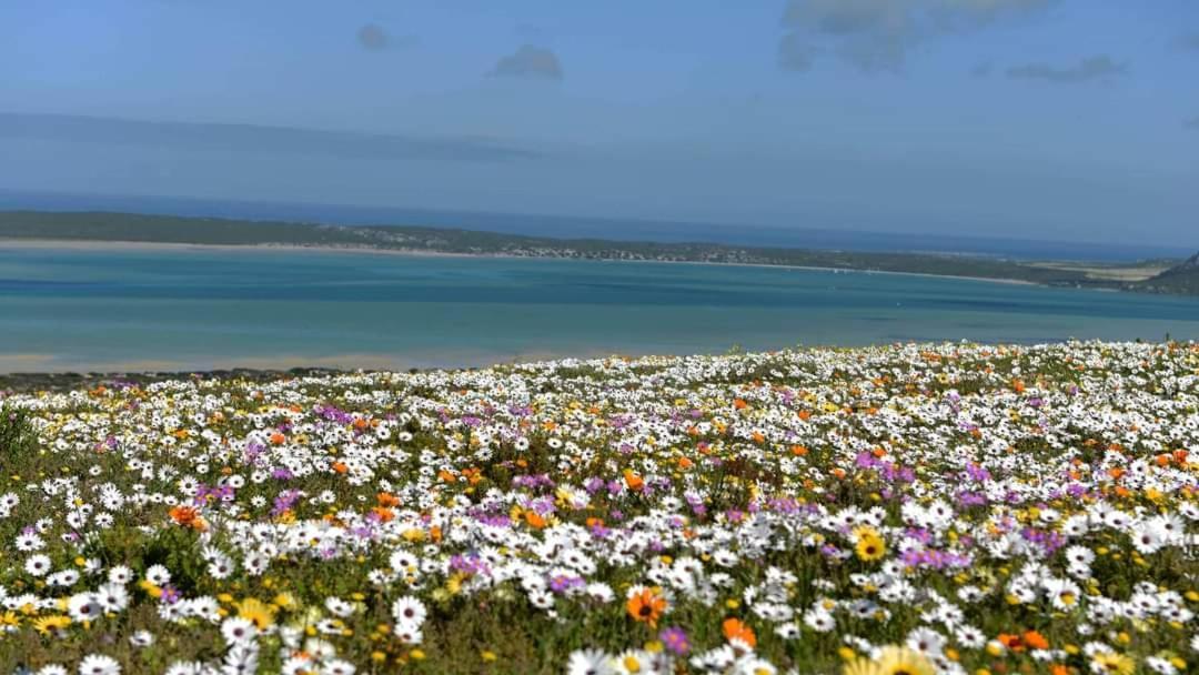 Seagulls Guest House Langebaan Exterior foto